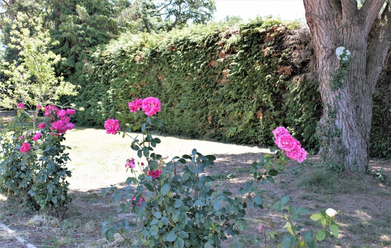 Les Bruyeres De Jeanne Et Rene Zoo De Beauval A 20Min,Chateaux Tout Inclus Fontguenand Εξωτερικό φωτογραφία